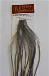 Whiting 100's Dark Dun Saddle Hackle