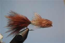 Sculpin, Brown