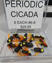 Periodic Cicada 1 Doz