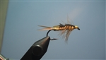 Woven Stonefly, Golden